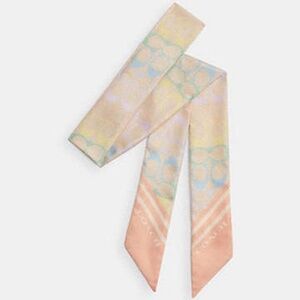 New Coach Signature Rainbow Print Silk Skinny Scarf